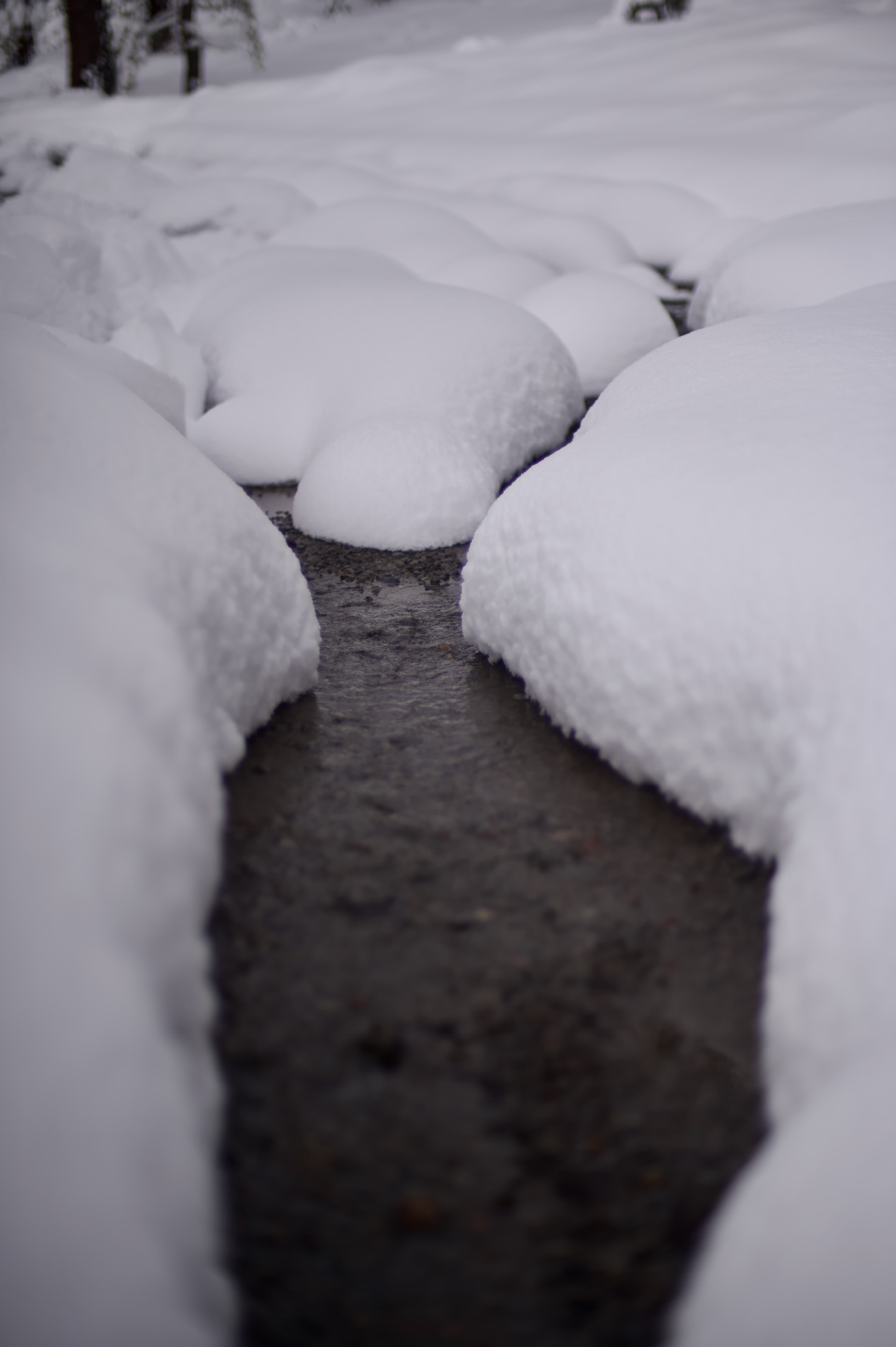 Donner Lake - Photo 1