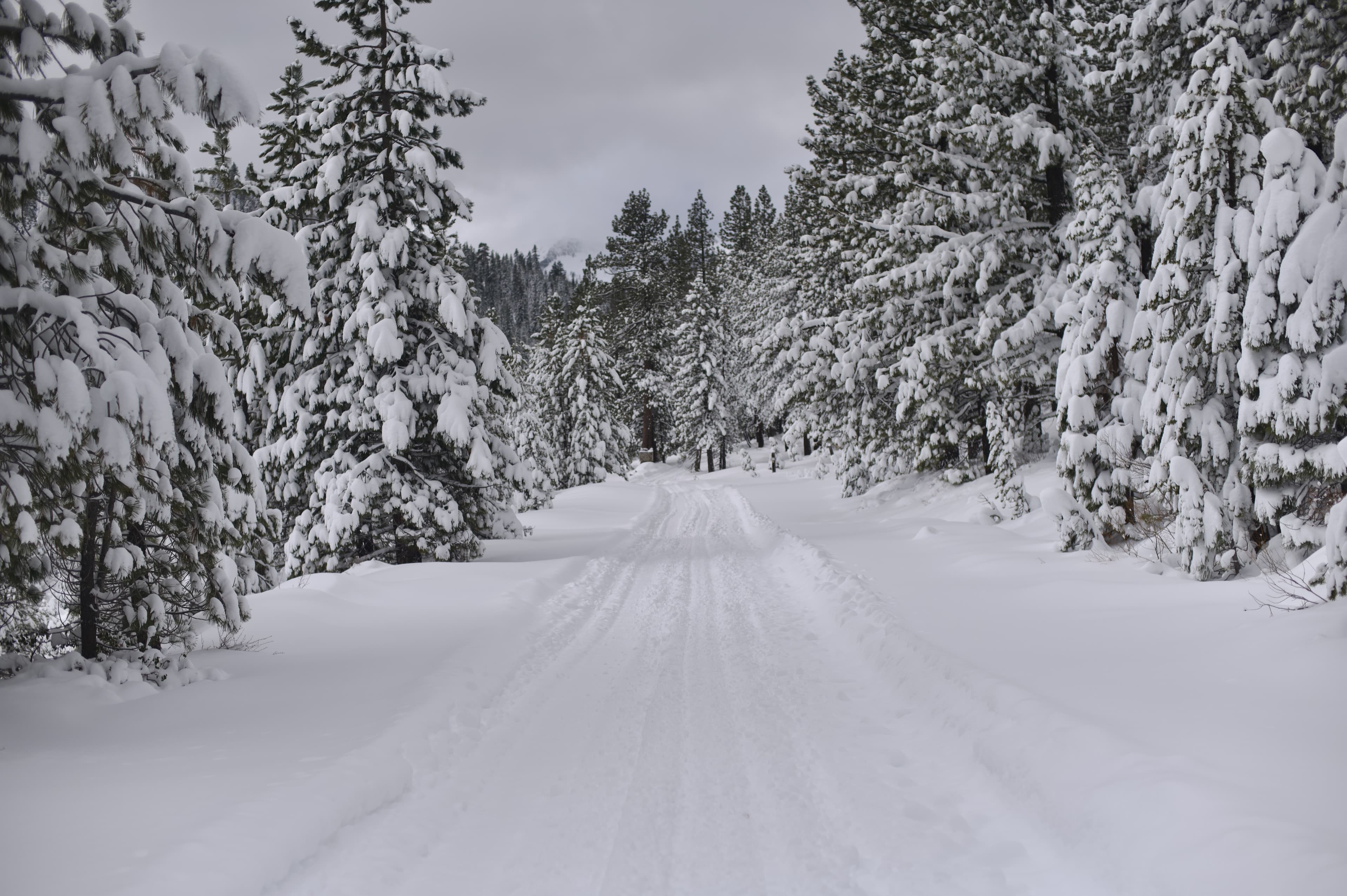Donner Lake - Photo 2
