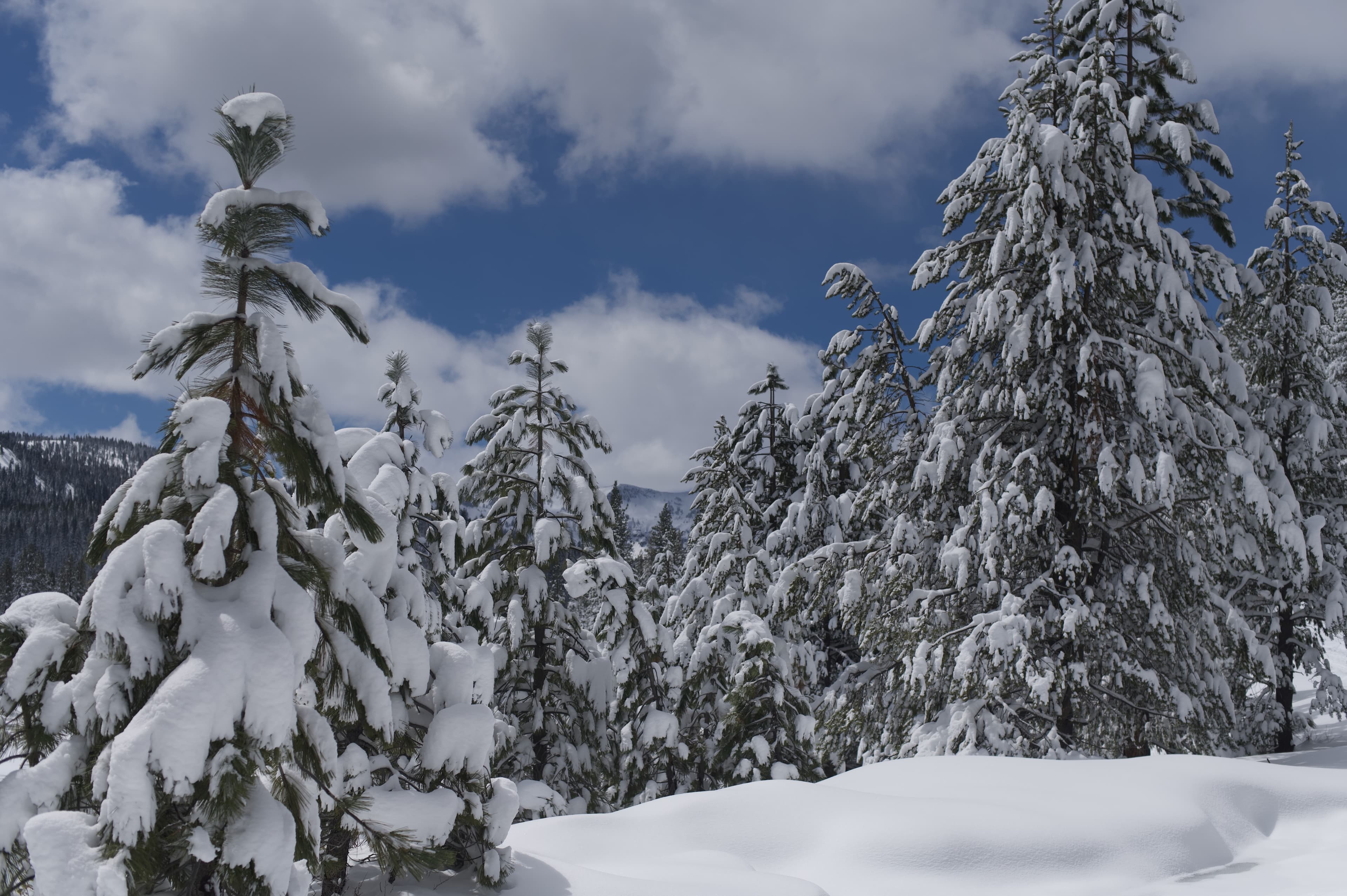 Donner Lake - Photo 6