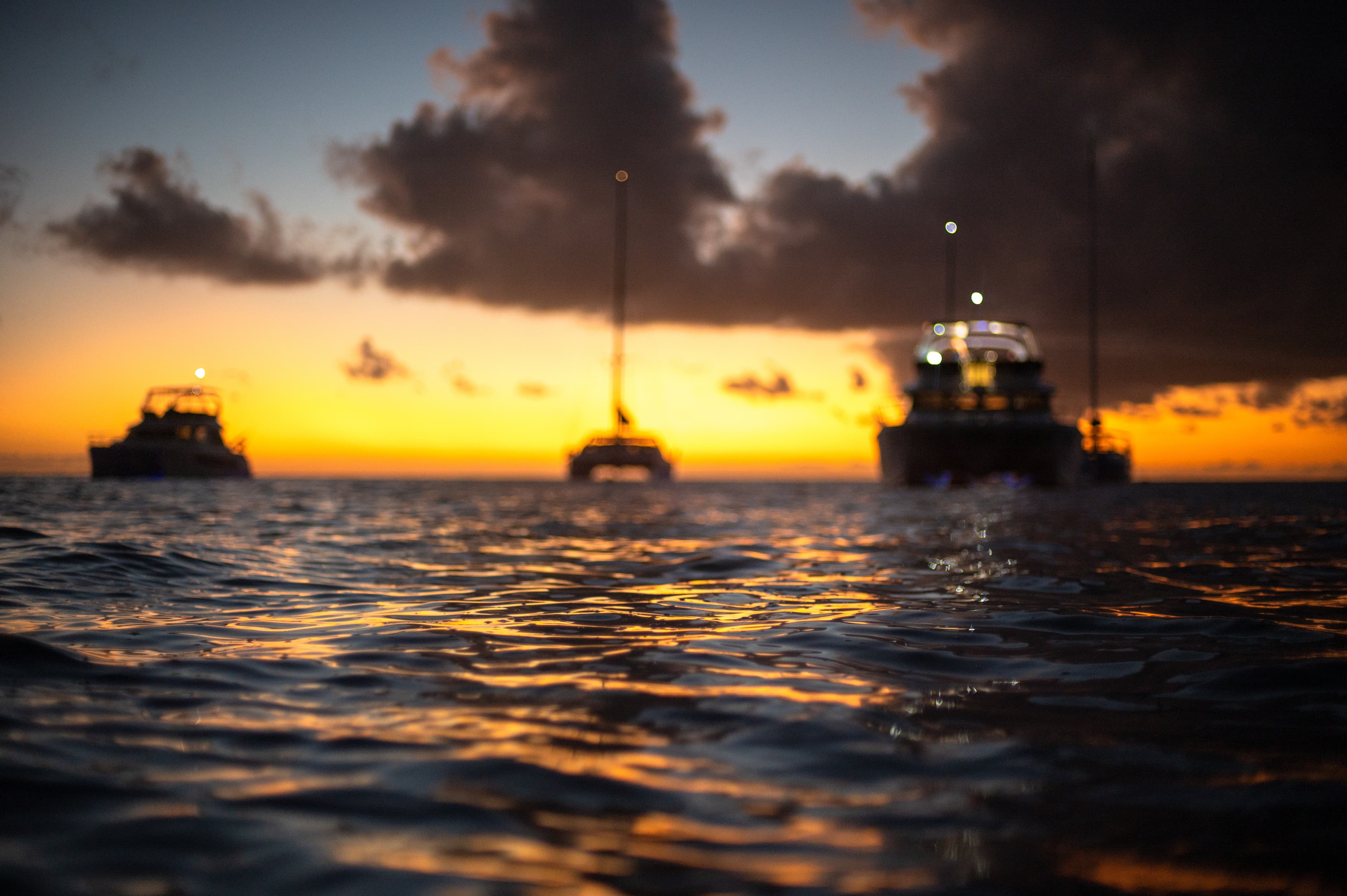 British Virgin Island - Photo 5