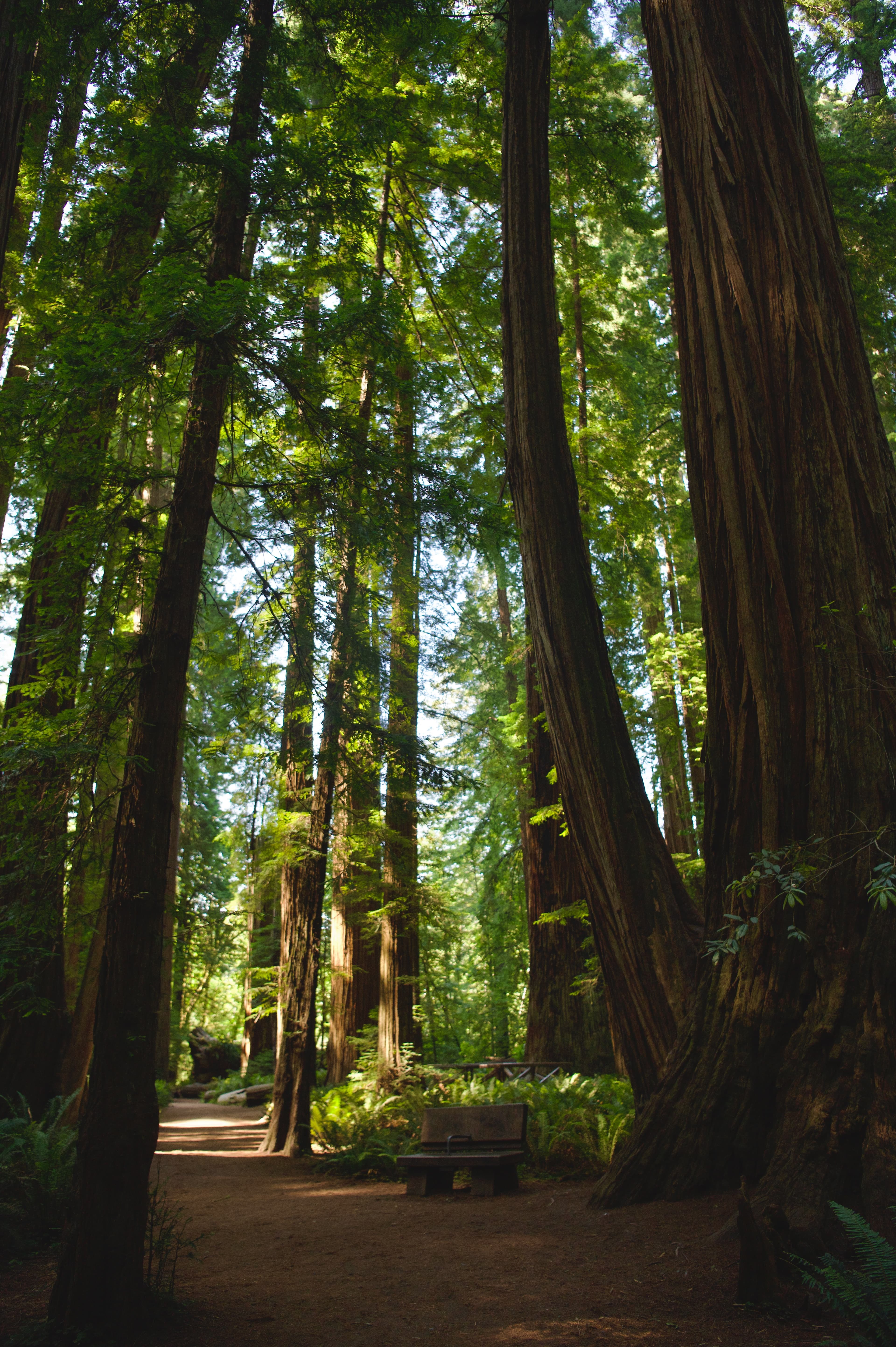 Northern California / Southern Oregon - Photo 1