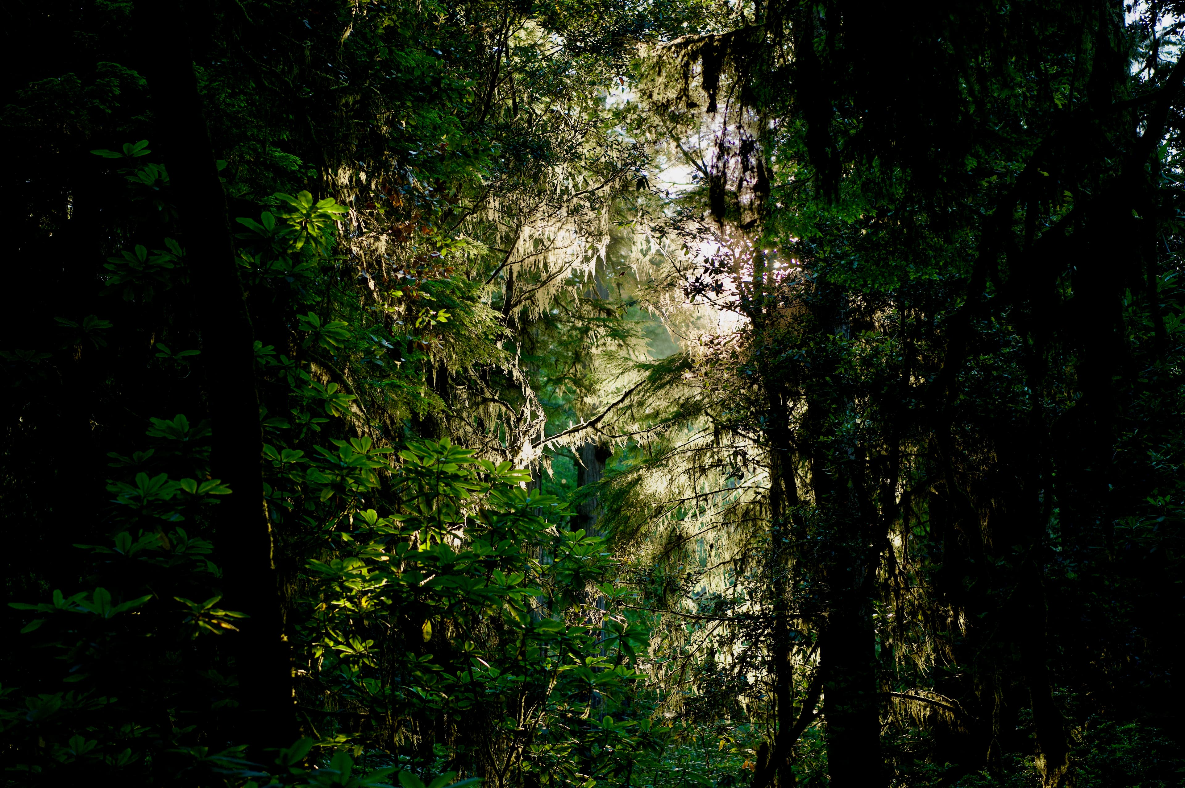 Cover Image for Northern California / Southern Oregon