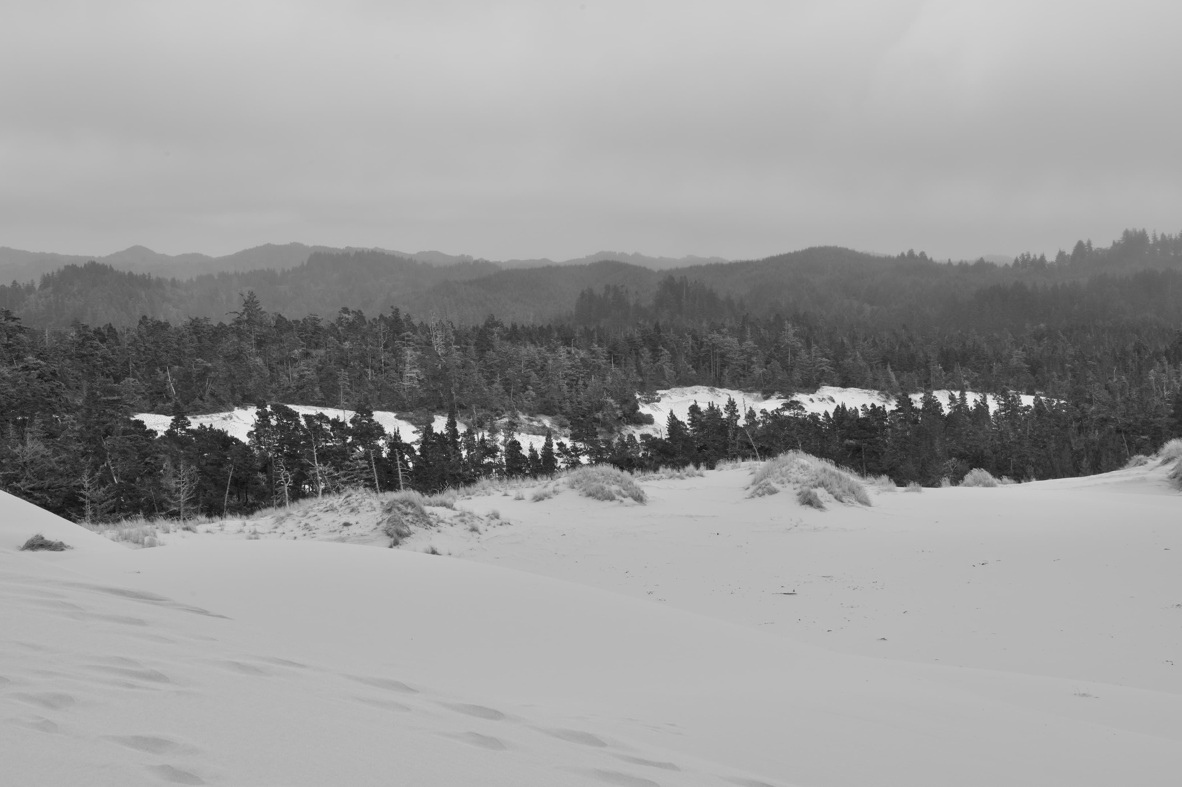 Northern California / Southern Oregon - Photo 3