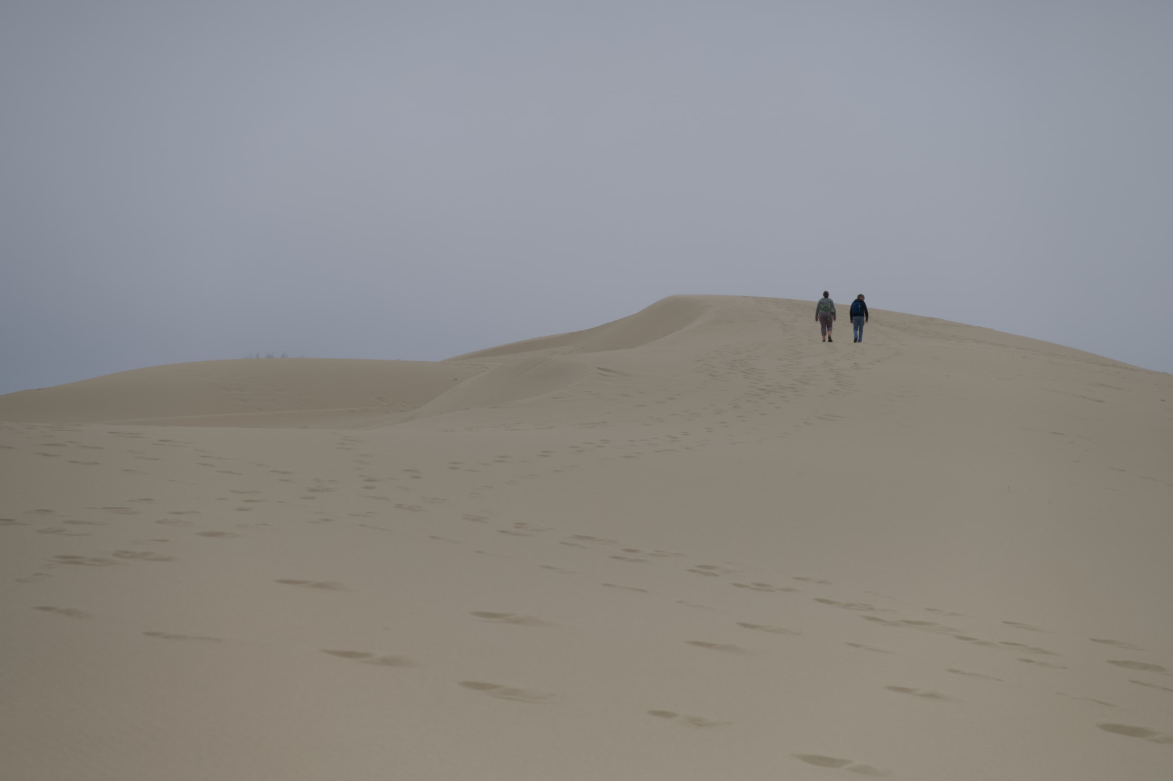 Northern California / Southern Oregon - Photo 4